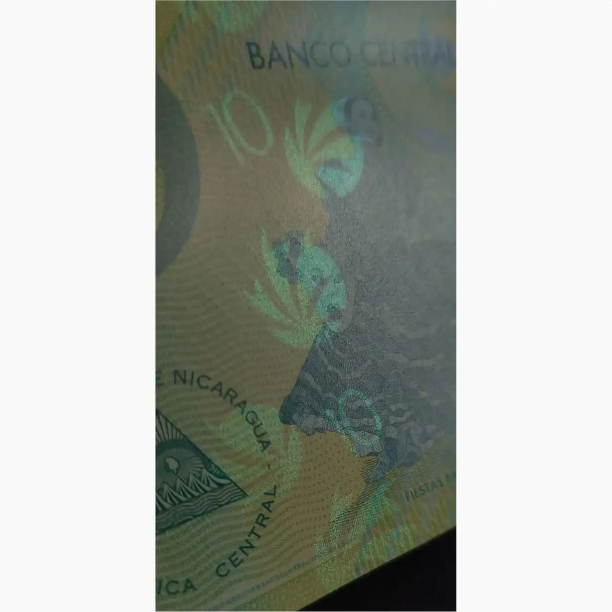 اسکناس ۱۰ کوردوبا نیکاراگوئه